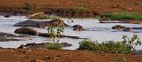 TANZANIA - Lake Manyara National Park - 67